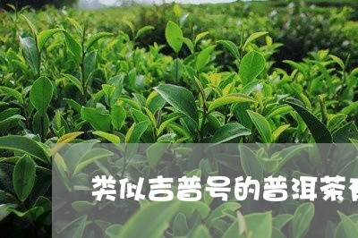 类似吉普号的普洱茶有哪些/2023121836149