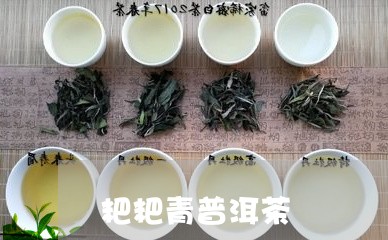 粑粑青普洱茶/2023042847081