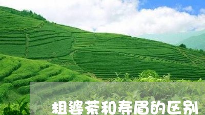 粗婆茶和寿眉的区别/2023120429591