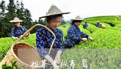 粗茶老枞寿眉/2023052383706