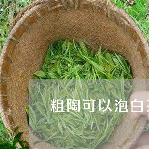 粗陶可以泡白茶吗/2023070716937