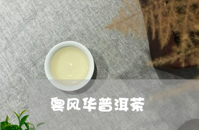 粤风华普洱茶/2023042791565