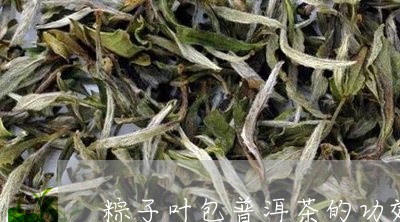 粽子叶包普洱茶的功效与作用/2023052990481