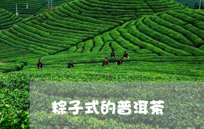 粽子式的普洱茶/2023112624606