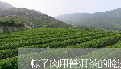 粽子肉用普洱茶的腌法窍门/2023112577371