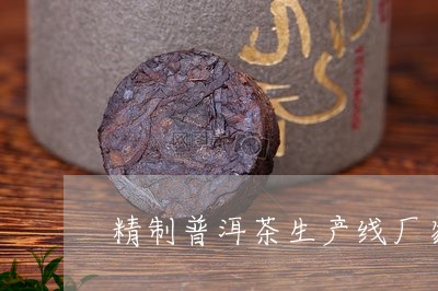 精制普洱茶生产线厂家排名/2023110864825