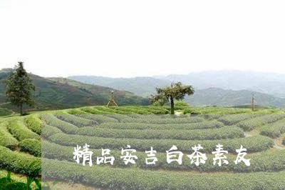 精品安吉白茶素友/2023070819583