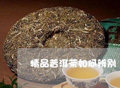 精品普洱茶如何辨别/2023071064816