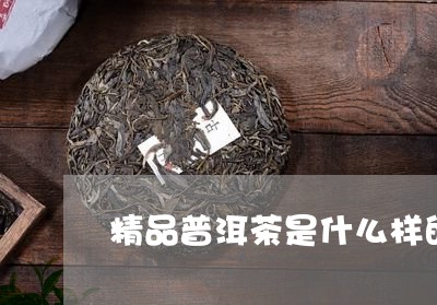 精品普洱茶是什么样的/2023092794925