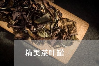 精美茶叶罐/2023041703611