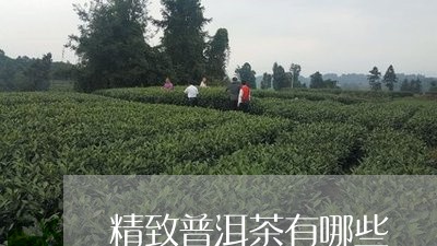 精致普洱茶有哪些/2023120471697