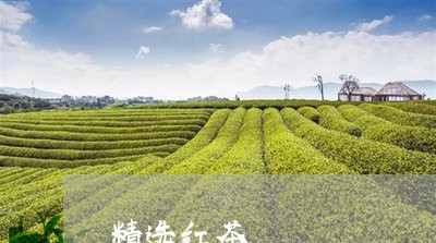 精选红茶/2023110902805