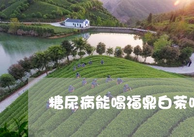 糖尿病能喝福鼎白茶吗/2023091536272