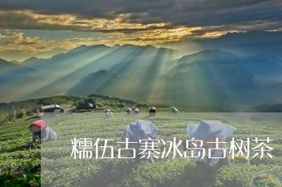 糯伍古寨冰岛古树茶/2023042641371