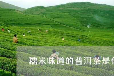 糯米味道的普洱茶是什么茶/2023081530724