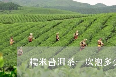 糯米普洱茶一次泡多少/2023061561725