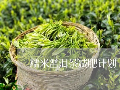 糯米普洱茶减肥计划/2023091480827