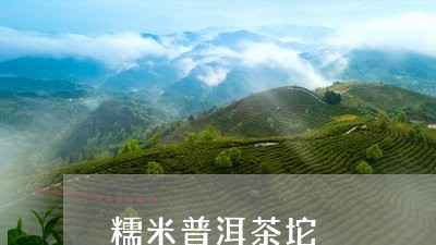 糯米普洱茶坨/2023042645044