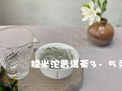 糯米沱普洱茶3-5克/2023061810602