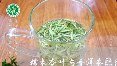 糯米香叶与普洱茶配比/2023062368271