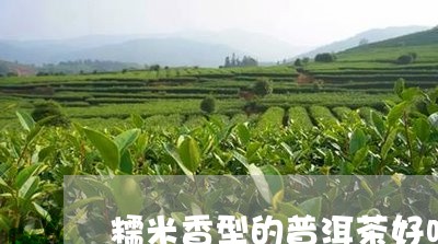 糯米香型的普洱茶好吗/2023100730516