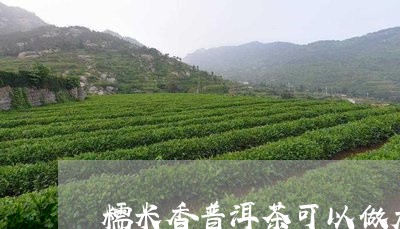 糯米香普洱茶可以做大口茶吗/2023052843049