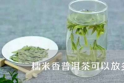 糯米香普洱茶可以放多久/2023121860591