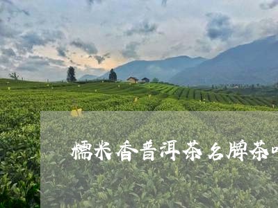 糯米香普洱茶名牌茶叶/2023080212849