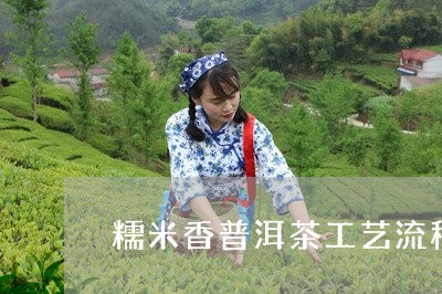 糯米香普洱茶工艺流程/2023092883946