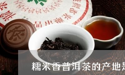 糯米香普洱茶的产地是那里/2023121800381