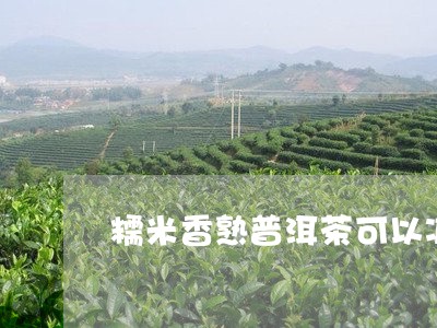 糯米香熟普洱茶可以减肥吗/2023112638402