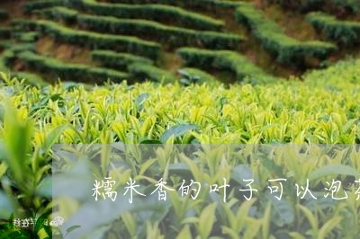 糯米香的叶子可以泡茶喝吗/2023051125069