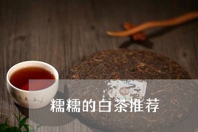 糯糯的白茶推荐/2023060867404