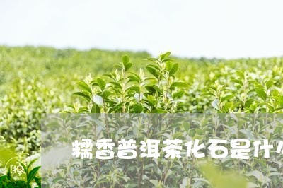 糯香普洱茶化石是什么/2023062283158