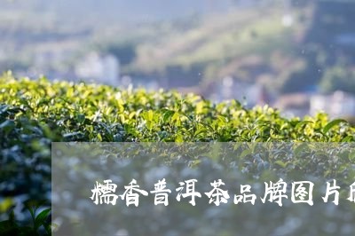 糯香普洱茶品牌图片欣赏大全/2023052924657