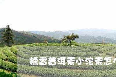 糯香普洱茶小沱茶怎么样/2023081431716