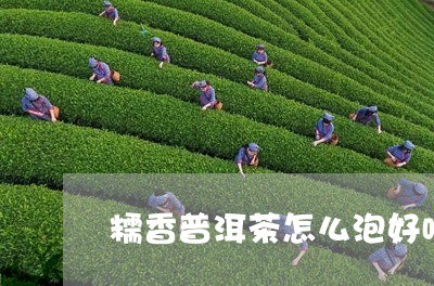 糯香普洱茶怎么泡好喝/2023061890491