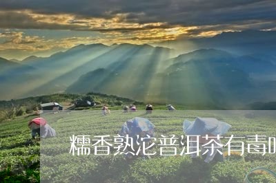 糯香熟沱普洱茶有毒吗/2023092955161