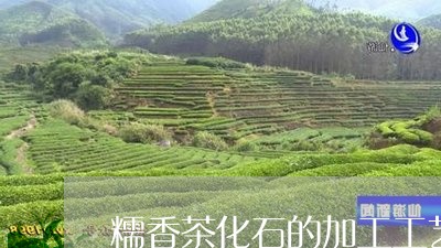 糯香茶化石的加工工艺/2023060953817