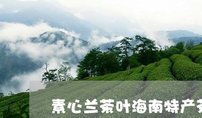 素心兰茶叶海南特产茶叶有哪些/2023053100727