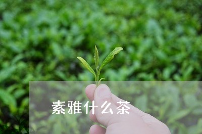 素雅什么茶/2023090297250