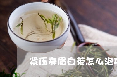 紧压寿眉白茶怎么泡功效/2023092484946