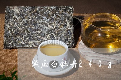 紧压白牡丹240g/2023120527582