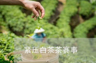 紧压白茶茶赛事/2023060832605