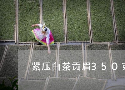 紧压白茶贡眉350克价格/2023062793916