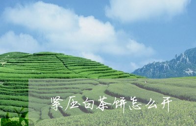 紧压白茶饼怎么开/2023070898280