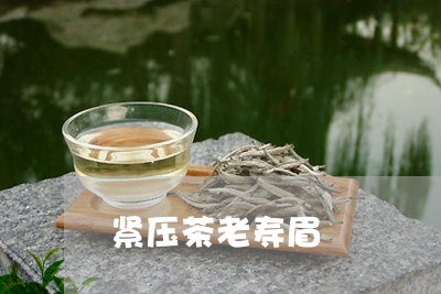 紧压茶老寿眉/2023052329371