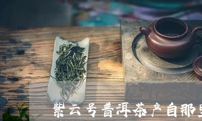 紫云号普洱茶产自那里/2023100737040