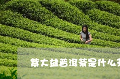 紫大益普洱茶是什么茶/2023062282606