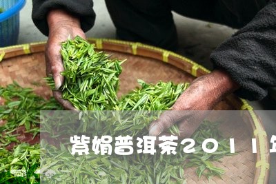 紫娟普洱茶2011年/2023080321704